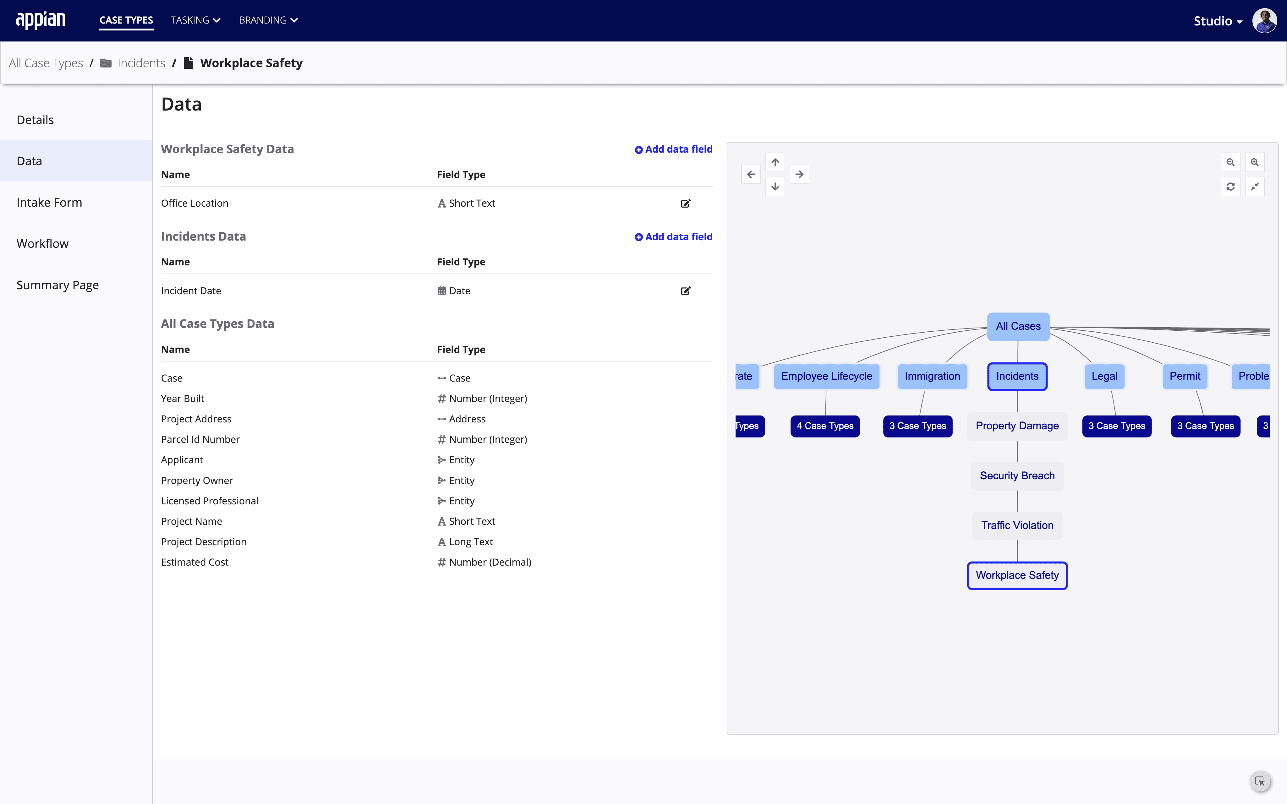 Case Management Workflows